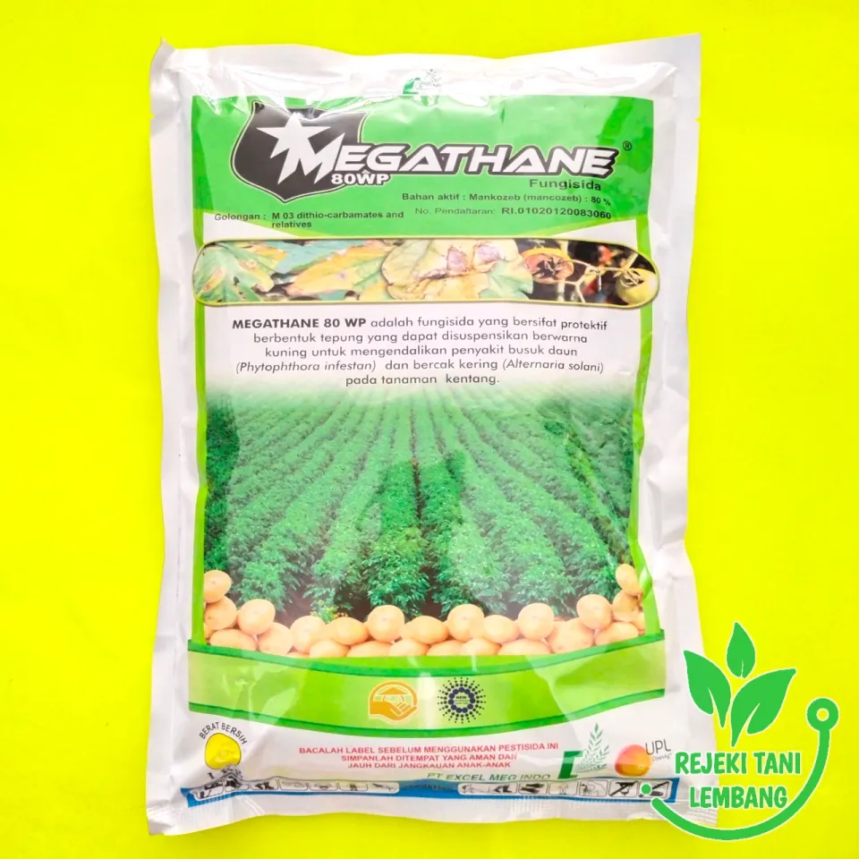 Yalangoch xotinlar josuslik video