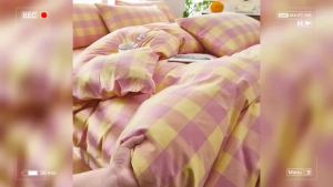 100% 100% Cotton Yarn-Dyed Washed Cotton Four-Piece Set Versatile Bedding Minimalist Style Simple Plaid Duvet Cover Three-Piece Set LZD