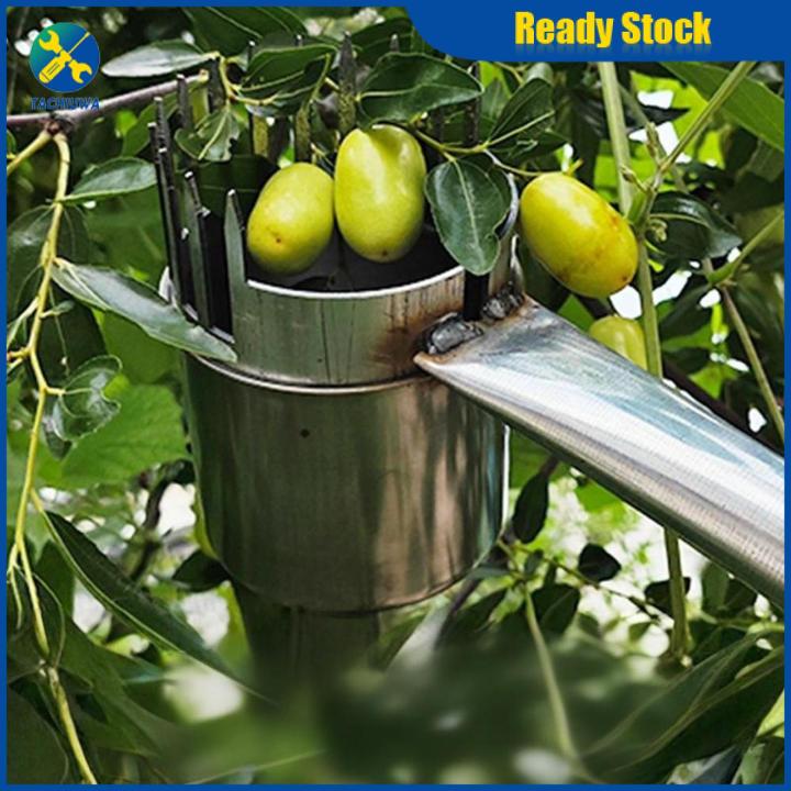 Rust Picker tachiuwa Fruit Picker High Performance Portable Rust Resistant Dates ...