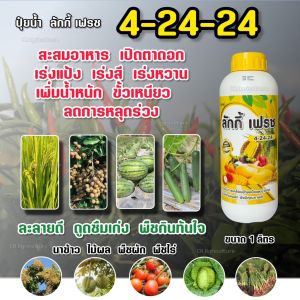 ปุ๋ยน้ำ ลักกี้เฟรช 4-24-24 ปุ๋ยทางใบ เร่งดอก เปิดตาดอก ติดผลดี เร่งรวง เร่งหวาน สร้างแป้ง น้ำหนักดี ขนาด 1 ลิตร