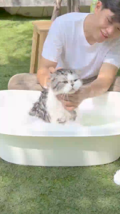 Cat Shampoo แชมพูแมว แชมพูอาบน้ำแมว - สูตรอ่อนโยน บำรุงผิวหนังและเส้นขน สำหรับแมวทุกสายพันธุ์