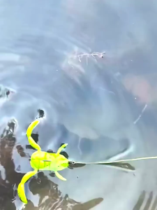 5PCS Fishing Soft Baits Artificial Frogs Lures Swimbait Topwater Floating Lures Baits for Freshwater Saltwater