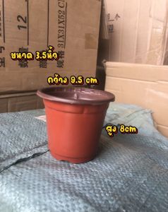 กระถางต้นไม้พลาสติก แบบอ่อน กระถางเพาะชำ ขนาด 3.5นิ้ว  20/50/100ใบ
