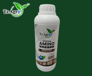 Tx Agro Special Fruitful Special Amino Buah Durian Cepat Matang & Lebih Harum
