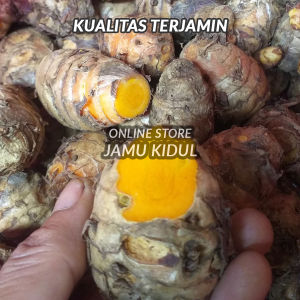 Biang kunyit 250 gr Tua dan Segar