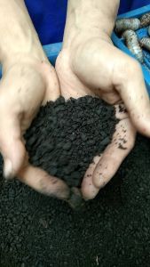 ปุ๋ยอินทรีย์มูลด้วงกว่างชนพันธุ์ไทยแท้4ก.กแถมให้1ก.กปรับสภาพดินให้ดียิ่งขึ้นๆพืชพันธุ์เจริญงอกงามทันตาเห็น100%