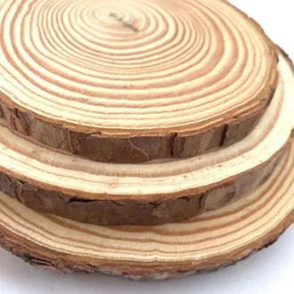 🔥Ready Stock🔥Natural Pine Round Unfinished Wood Slices Circles With Tree Bark Log Discs DIY Crafts Wedding Party Painting