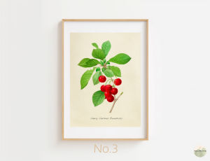 ภาพแต่งห้อง กรอบรูป ดอกไม้ พฤกษา Botanical Style ภาพแต่งบ้าน รูปแต่งห้อง รูปติดผนัง สไตล์มินิมอล โบโฮ โมเดิร์น แอบสแตรค