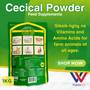Cecical calcium vitamins mineral powder 1kg Cecical Powder feed premix cecical powder 1kg cecical vitamin powder