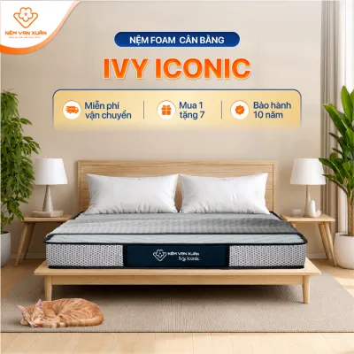 [HOẢ TỐC HCM] Nệm Foam Cân Bằng Êm Ái Đàn Hồi Tốt Ivy Iconic Vạn Xuân Nâng Đỡ Hoàn Hảo Bảo Vệ Cột Sống