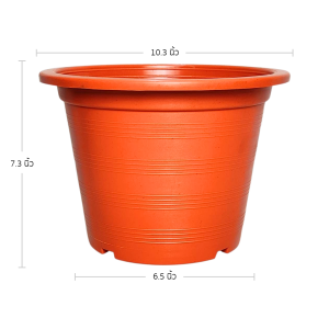 กระถาง กระถางต้นไม้ ทรงกลม เบอร์ 10 11 นิ้ว สีขาว Bundle 25 ใบ ชิ้น อัน