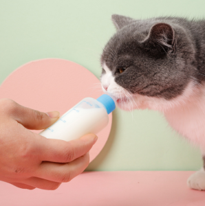 Ready Stock 60ml 7pcs Set Dog Cat Feeding Bottle Milk Kitten Puppy Water Nursing Bottle Botol Susu Anak Kucing