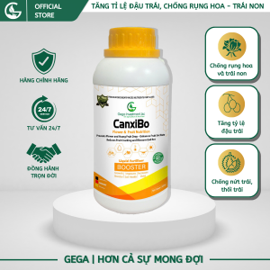 CANXIBO GEGA Chống rụng hoa tăng đậu trái hạn chế nứt trái dưỡng trái lớn đẹp chai 500ml