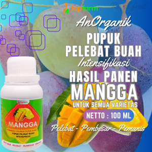 Pupuk Buah Mangga Super Lebat / Pupuk Buah Mangga Cepat Berubah / Pupuk Penguat Buah Mangga / Pupuk Pelebat Buah Mangga / Pupuk Cair Untuk Buah Mangga