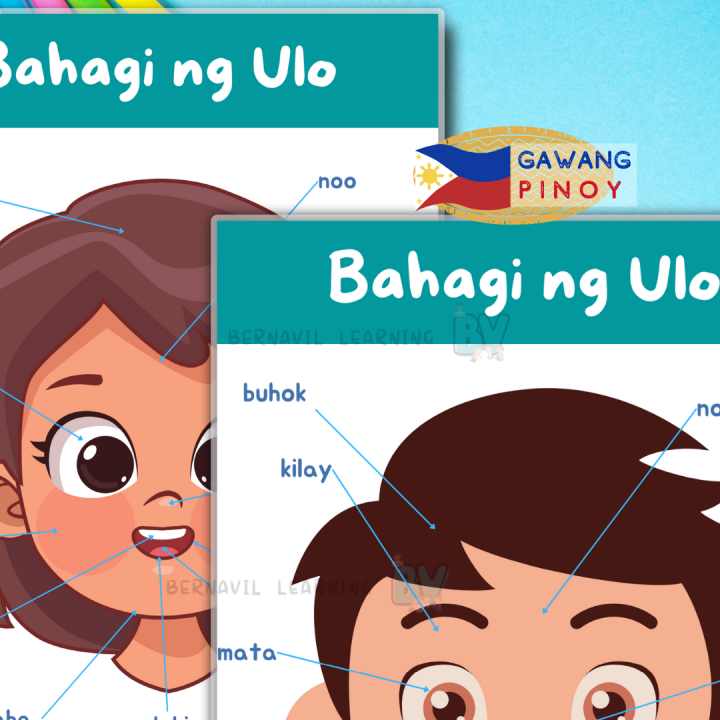 Parts of the Head Chart | Filipino/ Tagalog Laminated Educational Chart ...