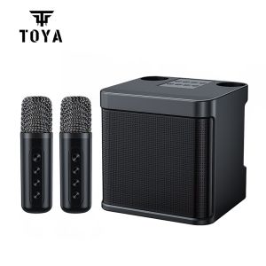 TOYA Speaker bluetooth karaoke Toya ty-203 Bluetooth Speaker 2 MIC HD sound quality 4.0 inci/10W