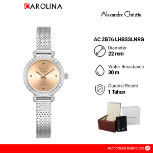 Jam Tangan Wanita Alexandre Christie Passion AC 2B76 LHBSSLNRG Rose Gold Dial Silver Stainless Steel Strap