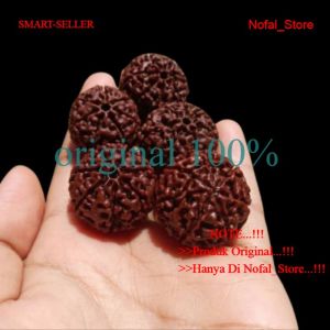 Jenitri rudraksha Besar Jumbo bagus
