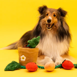 DY Loving Big Dog Sniffing Toy Korean Cute Potting Creative Toy Set Golden Retriever Energy Consuming IQ Toys