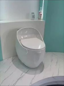 New Toilet Creative Toilet Spherical Siphon Household Ordinary Toilet Small House Toilet Toilet