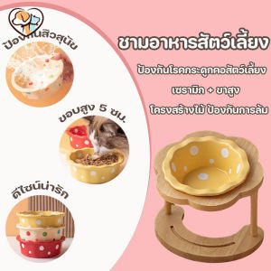 PetPure ชามอาหารสัตว์เลี้ยงเซรามิก พร้อมขาตั้งไม้ ดีไซน์น่ารักสวยสดใส ใช้ได้ทั้งหมาและแมว กันลื่น ทนทาน ทำความสะอาดง่าย