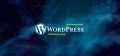 Mailster - Email Newsletter Plugin for WordPress. 