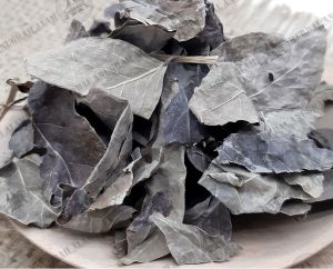 MURAH DAUN CEREMAI KERING/PHYLLANTHUS ACIDUSP 500 GRAM