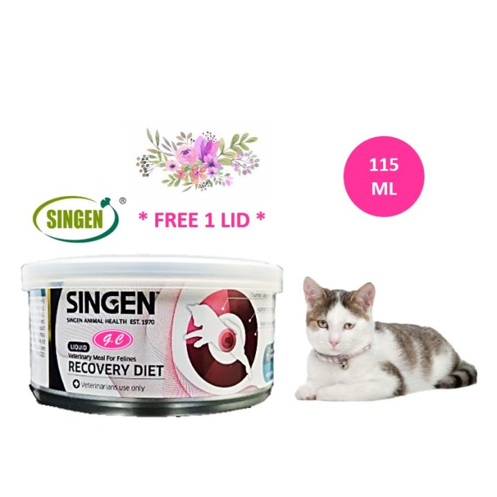 Liquid diet for cat with cancer best sale