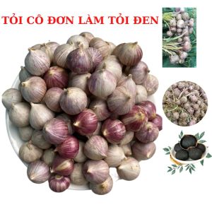 1kg Tỏi cô đơn Hải Dương