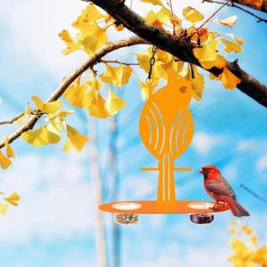 Open Design Oriole Bird Feeder Cup with Secure Hanging Chain for Outdoor Bird Feeding Station