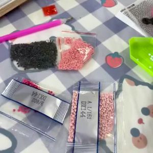 LAKOE ภาพวาดเพชร diamond painting DIY Sanrio ขนาด17*17*1.5cm ภาพปักเพชร ภาพติดเพชรพร้อมกรอบรูป