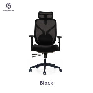 FLEX-X Ergonomic Mesh Office Chair High Back Adjustable Headrest & Lumbar Support Computer Desk Chair Executive Home Office