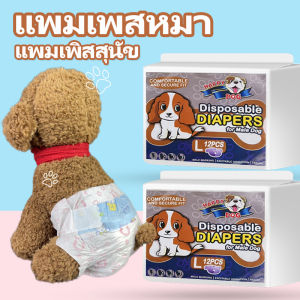 เเพมเพสหมา ผ้าอ้อมสุนัขเมีย ผ้าอ้อมสุนัขตัวผู้ ผ้าอ้อมสุนัข แพมเพิสสุนัข มี 4 ขนาดให้เลือก ผ้าอนามัยสุน แพมเพิสสุนัขเพศเมีย