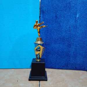 Piala Lomba Juara 1 2 3 4 (PENCAK SILAT BODY BIRU RASER) "costum" FREE STICKER (BOLEH satuan)TERMASUK SETICKER DAN FREE DESIGN