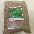 Gói 100g.Hạt giống cỏ lá gừng ,cỏ lá tre,cỏ trồng sân vườn- gieo trồng quanh năm. 