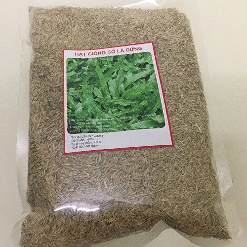Gói 100g.Hạt giống cỏ lá gừng ,cỏ lá tre,cỏ trồng sân vườn- gieo trồng quanh năm