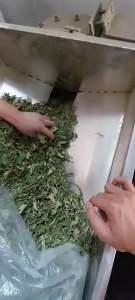 Bột lá sen nguyên chất sấy lạnh 100g