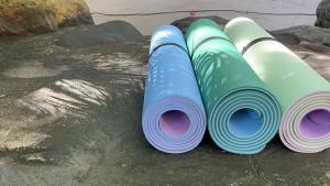 tpe Yoga Mat Non-Slip Thickened Beginner Double Layer Yoga Mat Non-Slip Grip Wear-Resistant Shock Absorption Silent Exercise Mat [ Free Shipping ]