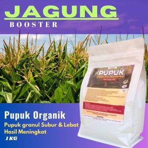 Pupuk Booster Jagung Pembesar Buah Jagung Pupuk Granul untuk Awal Tanam & Hasil Lebat