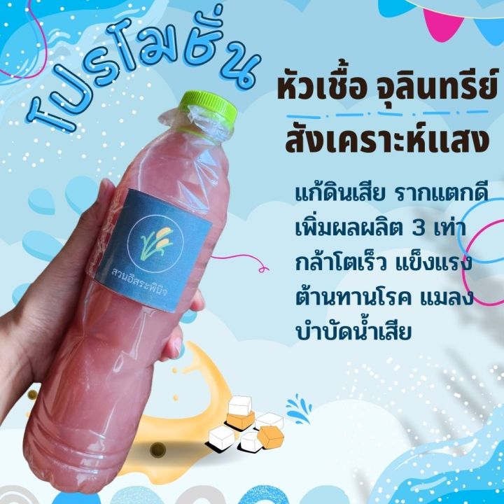 หัวเชื้อจุลินทรีย์สังเคราะห์แสง 600 มล. บำรุงพืช เร่งดอกผล