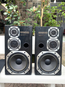 Bán cặp loa nghe nhạc Kenwood ROXY DG3 hát cực hay giá thanh ly 2025