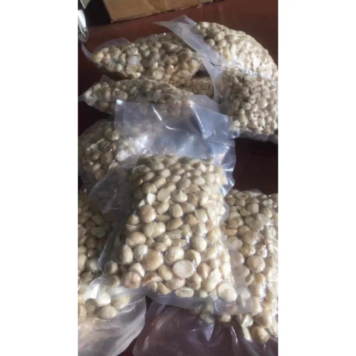 500g nhân macca vỡ sấy chín giòn ngon làm sữa hạt giá rẻ, nhân hạt macca, maccadamia nut