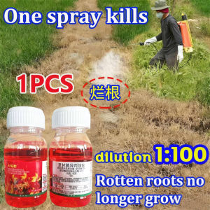 Weed control effect 99.9% HYL Glyphosate Herbicide 1:100 to water Easily eliminate all kinds of weeds Racun Rumput Long-lasting effect is strong Racun Rumpai