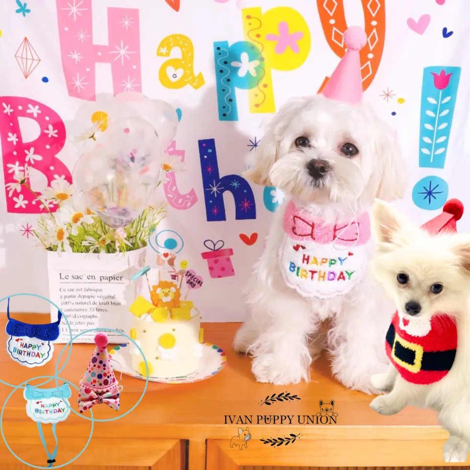 Pet Birthday Mouth Bib Costumes Christmas Mouth Bibs and Hat Pet