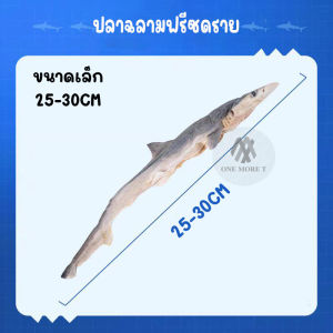 ขนมสุนัข ขนมแมว 🐶🐱 ปลาฉลามขัดฟัน ปลาฉลามแท้ อบแห้ง ขนมขัดฟันสัตว์เลี้ยง