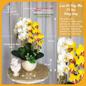 Hoa Lan Hồ Điệp Giả Cao Cấp Chậu Hoa Lan 2 nhánh12 bông để bàn trang trí nhà cửa 45cm