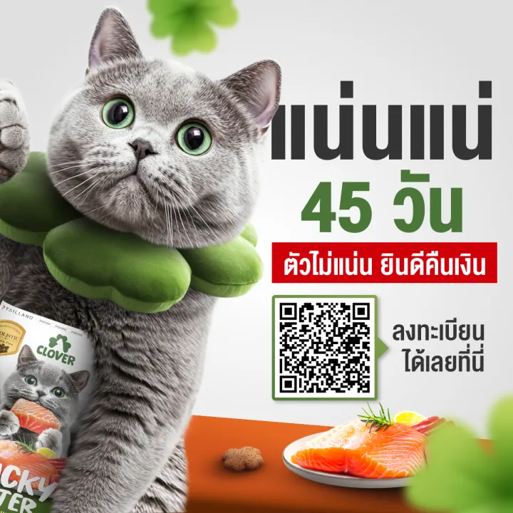 (5%20%E0%B9%81%E0%B8%96%E0%B8%A1%201kg)%20Clover%20%E0%B8%AA%E0%B8%B9%E0%B8%95%E0%B8%A3%20Picky%20Eater%20%E0%B8%81%E0%B8%B4%E0%B8%99%E0%B8%A2%E0%B8%B2%E0%B8%81%20%E0%B8%81%E0%B8%B4%E0%B8%99%E0%B9%81%E0%B8%99%E0%B9%88%20%E0%B8%AA%E0%B8%B3%E0%B8%AB%E0%B8%A3%E0%B8%B1%E0%B8%9A%E0%B9%81%E0%B8%A1%E0%B8%A7%E0%B8%97%E0%B8%B2%E0%B8%99%E0%B8%A2%E0%B8%B2%E0%B8%81%20%E0%B8%AD%E0%B8%B2%E0%B8%AB%E0%B8%B2%E0%B8%A3%E0%B9%81%E0%B8%A1%E0%B8%A7%20holistic%20grain-free%20%E0%B8%95%E0%B8%B1%E0%B8%A7%E0%B9%81%E0%B8%99%E0%B9%88%E0%B8%99%20%E0%B8%96%E0%B8%99%E0%B8%AD%E0%B8%A1%E0%B9%84%E0%B8%95%20-%20Image%208