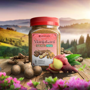 Minuman Tradisional Manjakani Sirih Kunyit Putih Jahe Merah Jambe Gula Aren Bubuk Herbal Melati Noni
