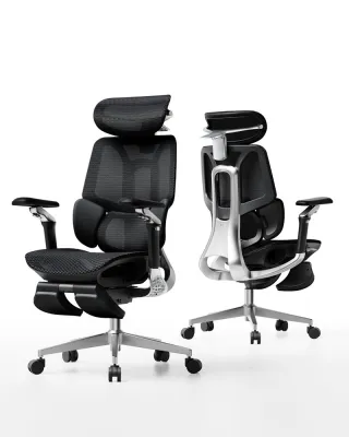 (Ready Stock)HBADA E3 Pro 2026 Edition & E3 Air 2026 Edition Ergonomic Chair Adjustable Headrest Armrest & Backrest Office Chair Mesh Gaming Chair