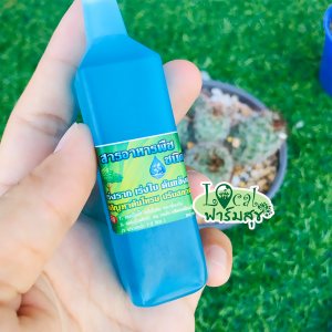 ปุ๋ยน้ำ เร่งโต 5 เท่า เร่งลำต้น  ใบ และราก ปุ๋ยไฮโดรโปนิกส์ ต้นไม้ตายแล้วฟื้น ขนาด 38 ML. ( 6 ขวด ) homes